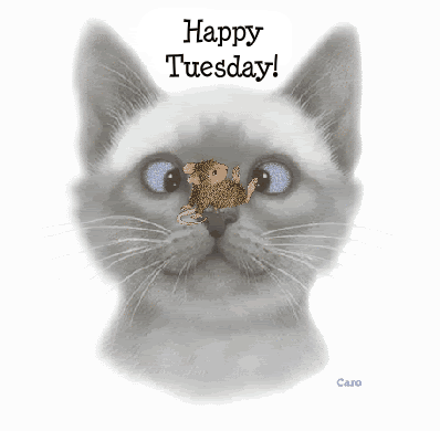 Http   Www Oyegraphics Com Tuesday Welcome Tuesday
