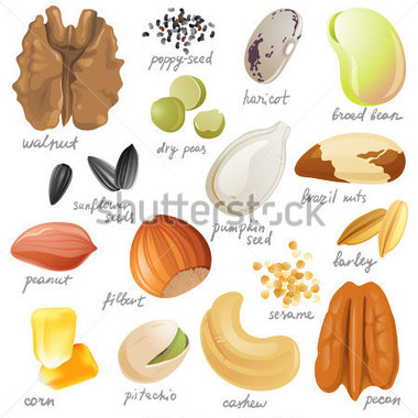 Source File Browse   Food   Drinks   Edible Seeds Nuts And Beans