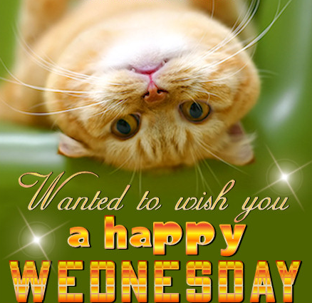 Happy Wednesday Clipart   Clipart Best