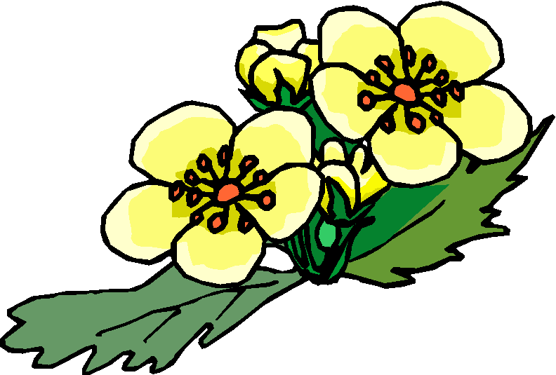 Red And Yellow Flower Free Clipart