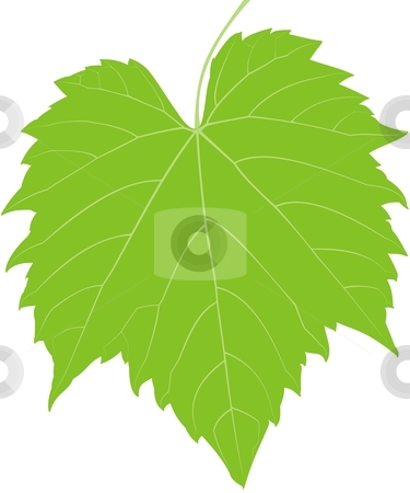Grape Leaf Low Detail Stock Vector Clipart A Low Detailed Grape Plant