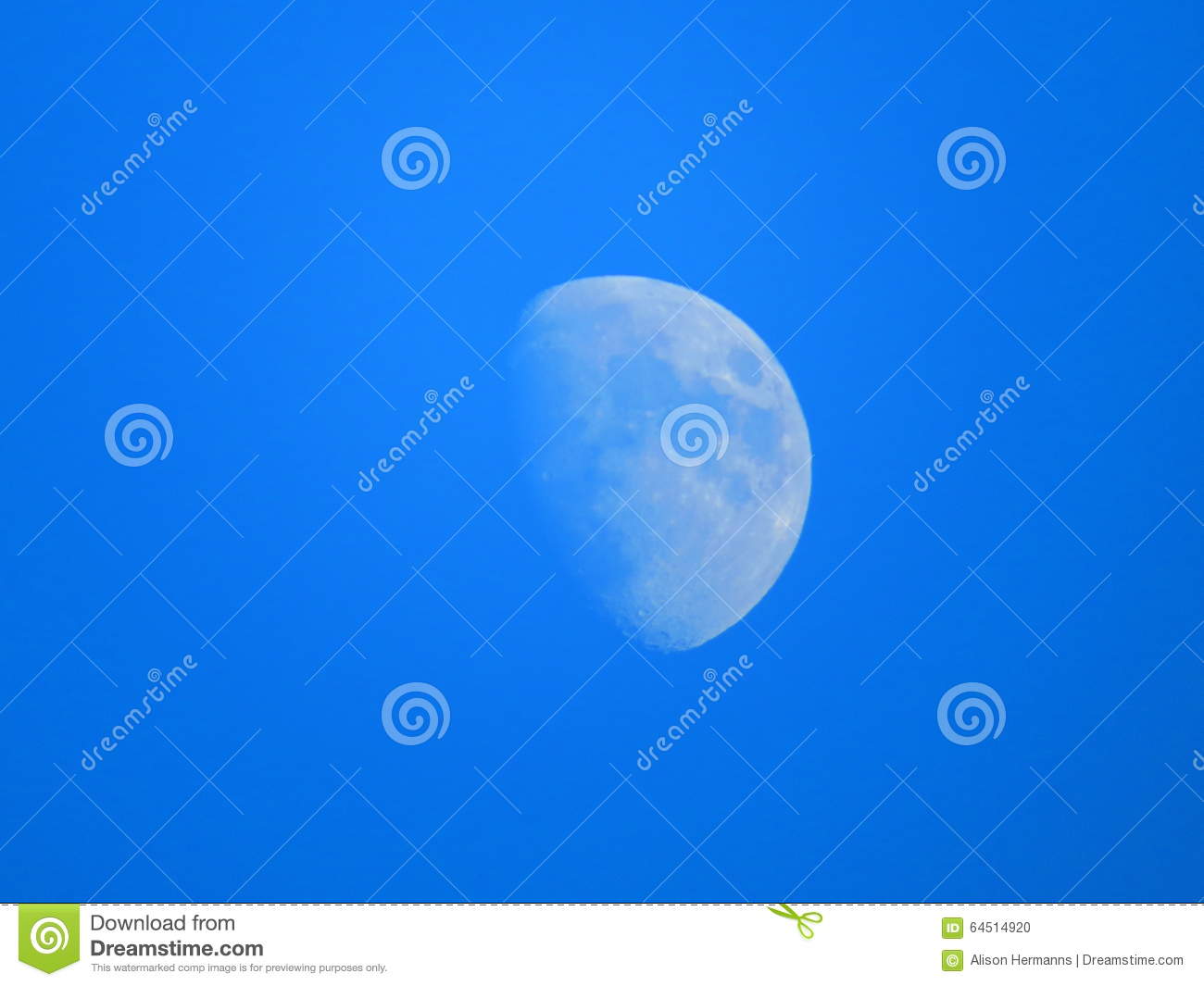 Moon Stock Photo   Image  64514920