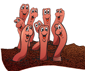 Omsh Kid Zone  Worms  Worms Worms