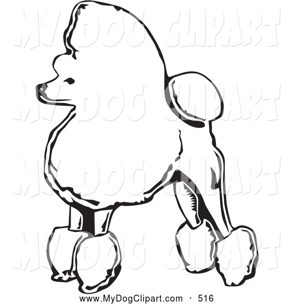Back   Gallery For   Toy French Poodles Clip Art