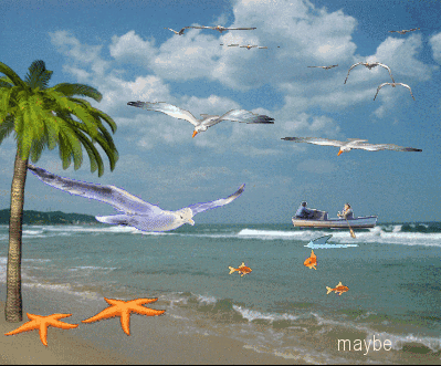 Beach Graphics And Animated Gifs  Beach
