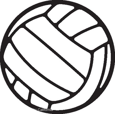 Cool Volleyball Ball 