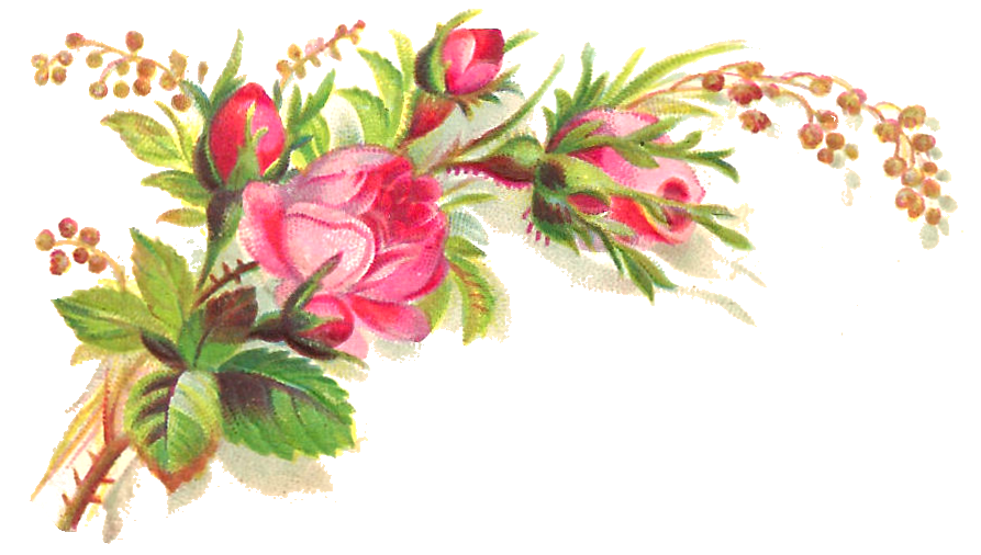 Flower I Love Pink Roses As Well This Lovely Piece Of Rose Clip Art Is