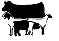 2014 4 H Livestock Judging And Skillathon Interest Meeting   Clover