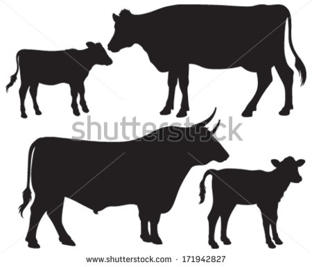 Quality Black And White Vector Silhouettes Of A Bull A Cow And Two