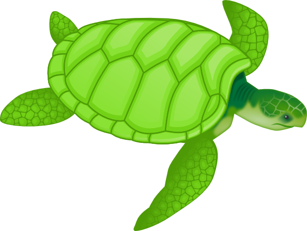 Green Sea Turtle Clip Art At Clker Com   Vector Clip Art Online