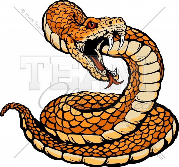 Rattlesnake Head Clipart   Clipart Panda   Free Clipart Images