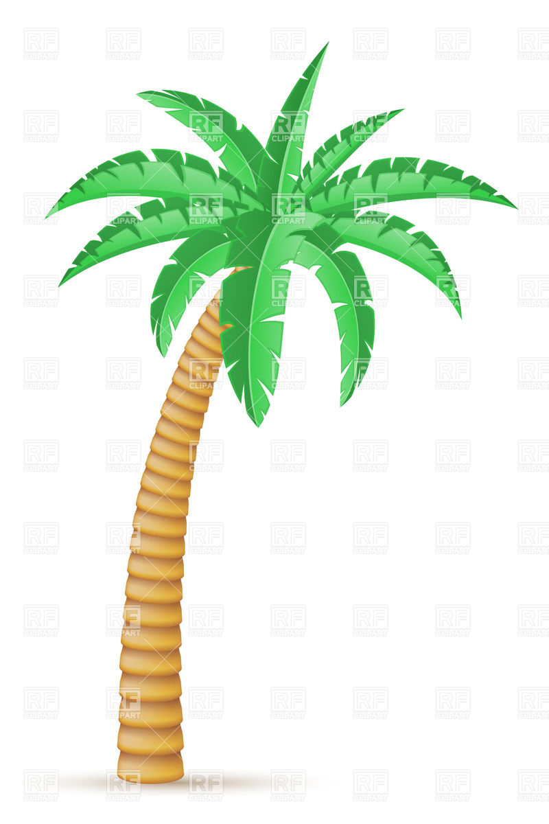 Tropical Palm Trees Clipart Palm Tree Clip Art Background