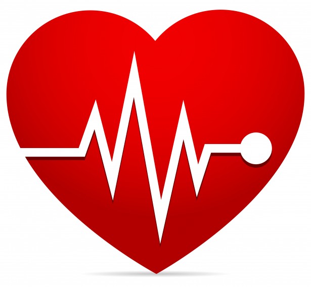 Heart Rate Ekg  Ecg  Heart Beat Free Stock Photo   Public Domain