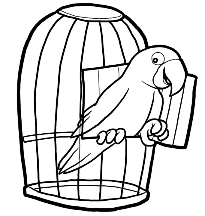 Parrot In A Cage Colouring Pages