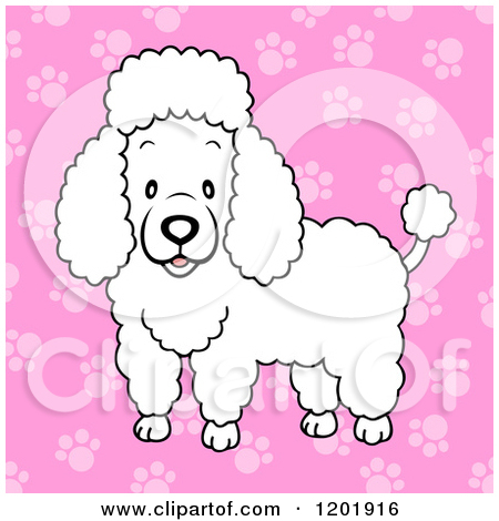Royalty Free  Rf  White Poodle Clipart   Illustrations  1