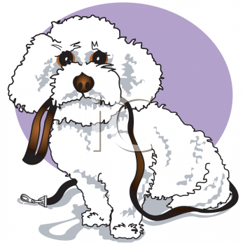 This Cartoon Poodle Puppy Holding His Leash Clip Art Image Is    