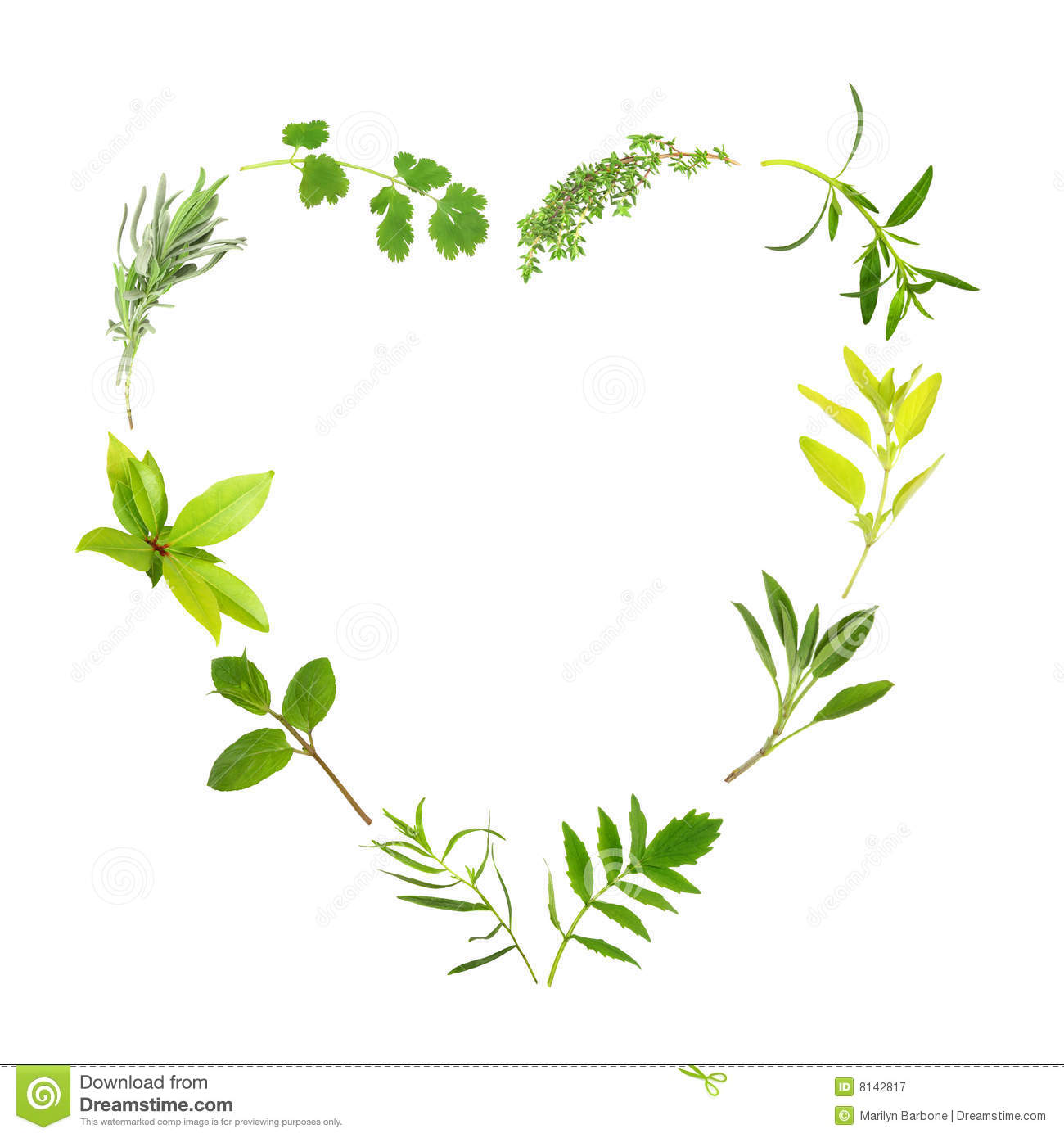 Herb Leaf Selection Forming A Heart Shape Over White Background
