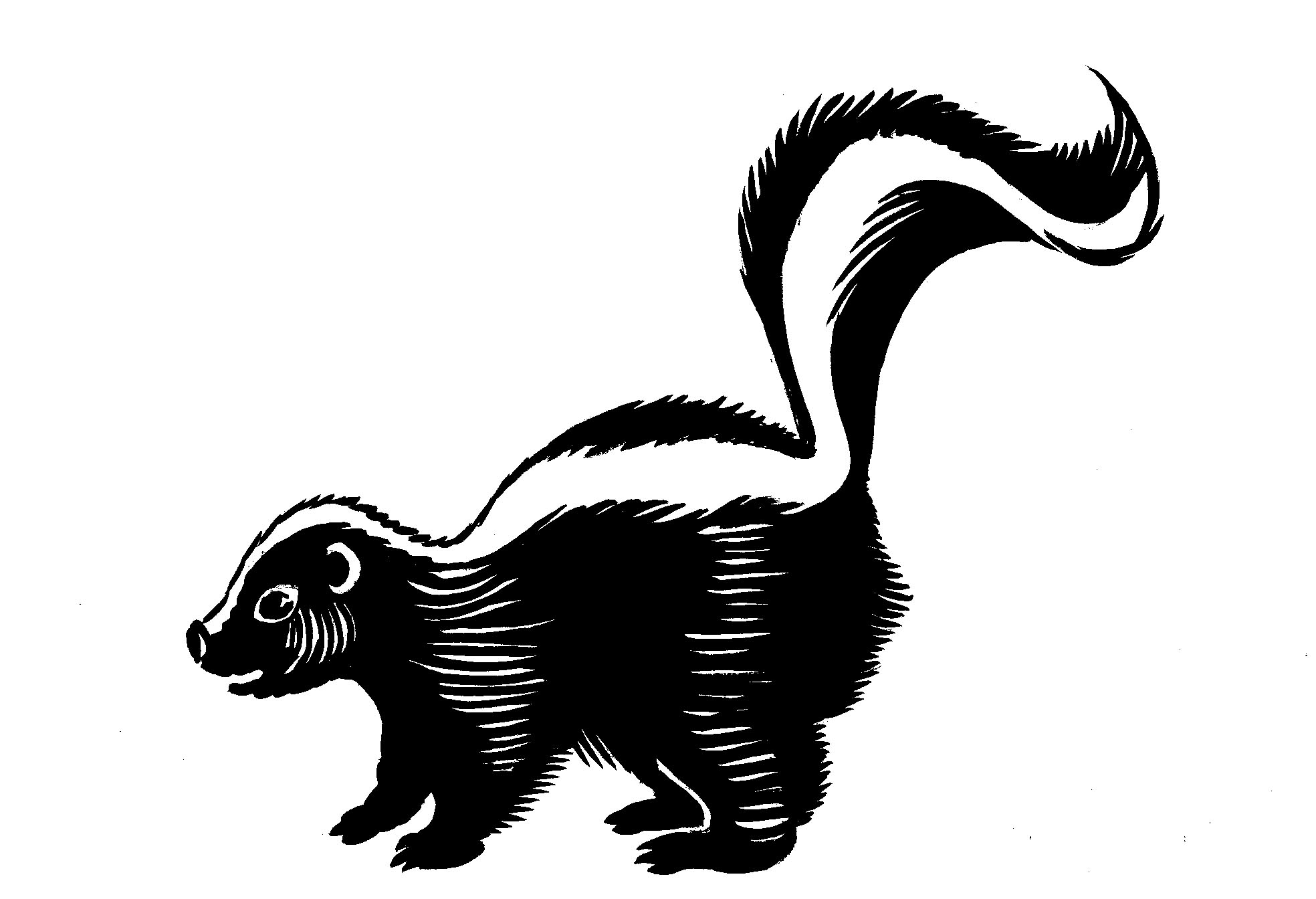 20 Images For Cartoon Skunk Displaying 20 Images For Cartoon Skunk