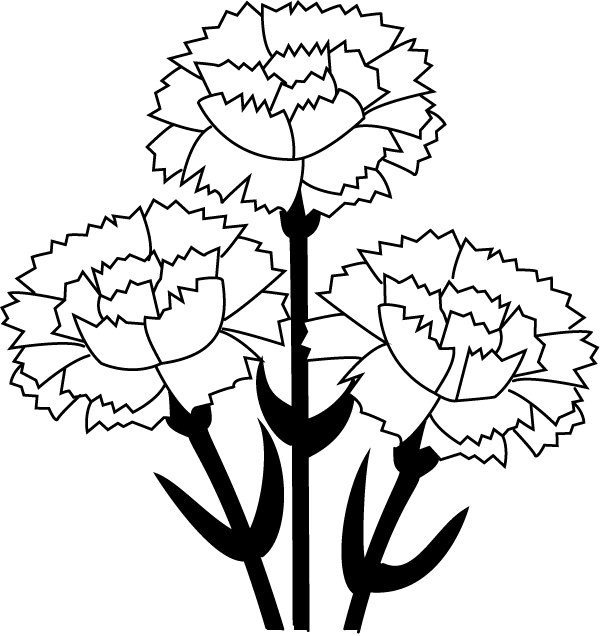 Carnation Clip Art   Clipart Best
