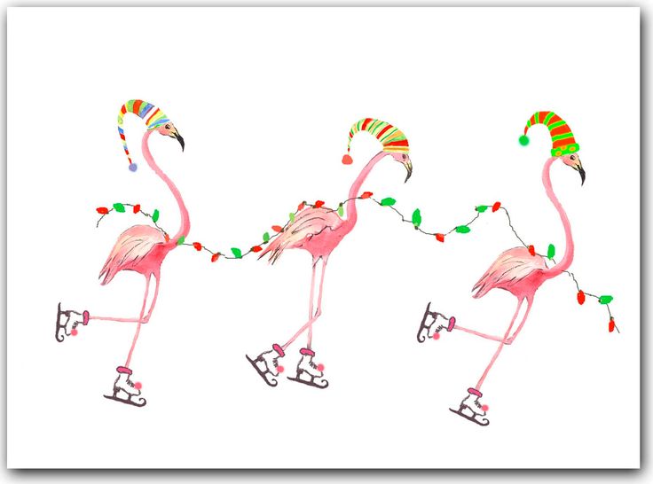 Flamingo Christmas Cards Tropical Christmas 10 Per Greeted Boxed Se