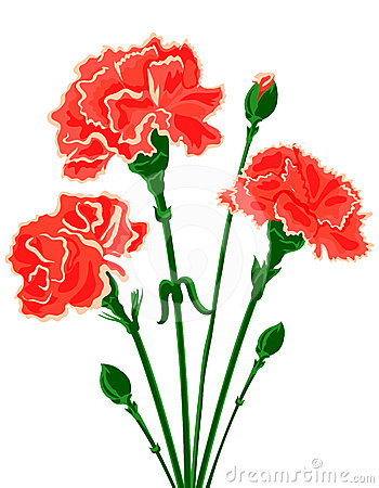 Red Carnation Clipart Carnation Flower Clip