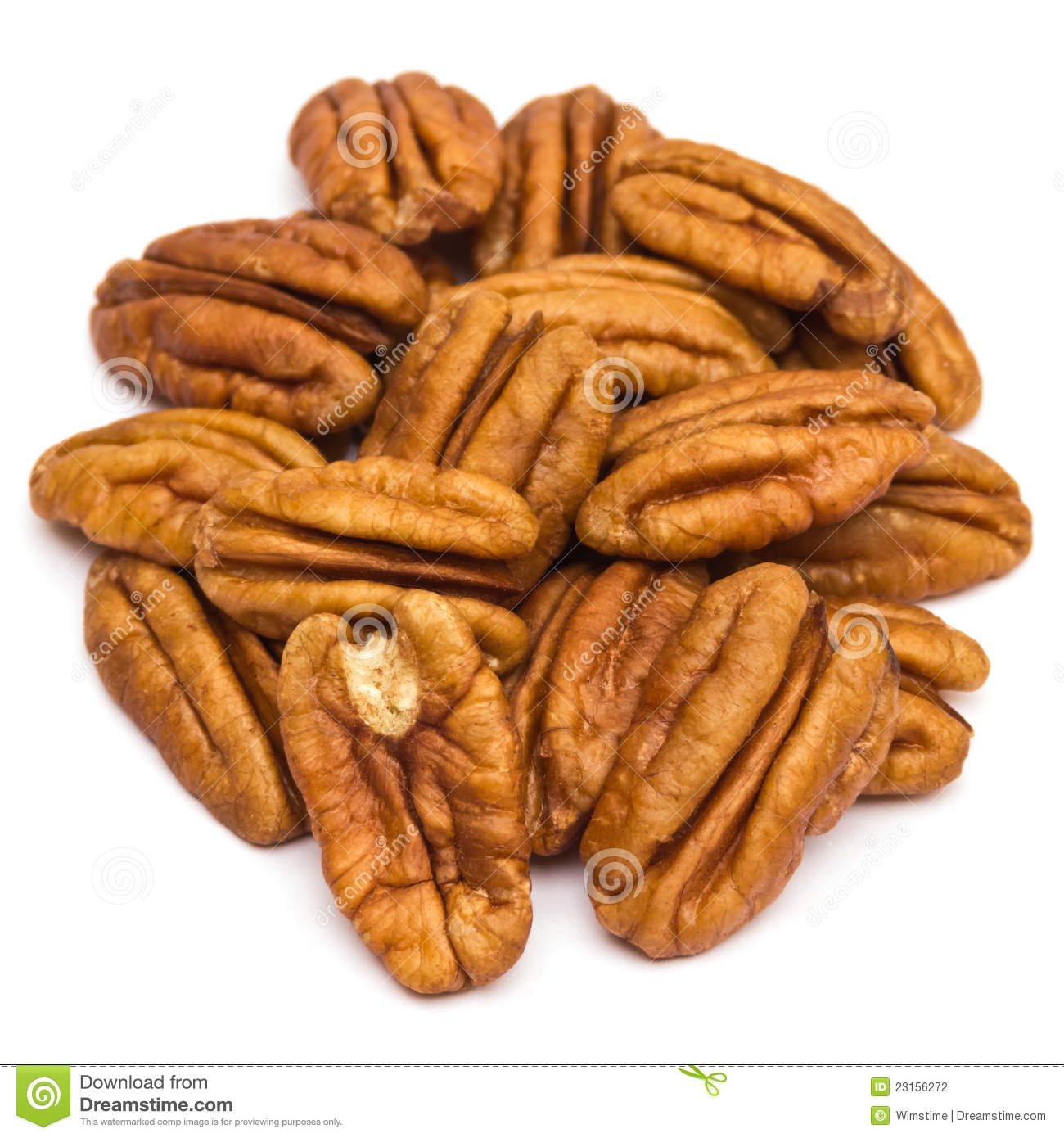 Pecan Nuts Stock Photography   Image  23156272
