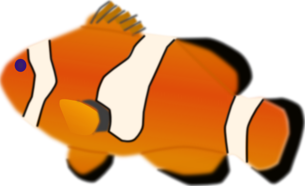 Aquarium Fish Amphiprion Percula Clip Art At Clker Com   Vector Clip    
