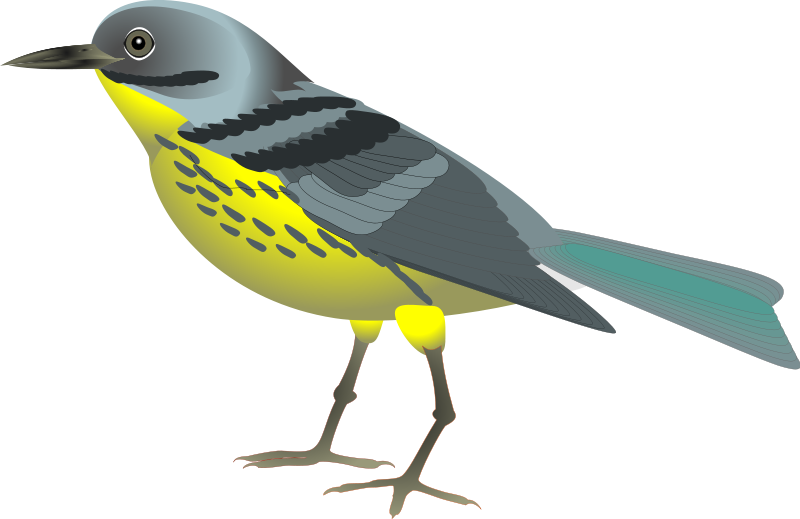 Have A Look At The Bird Clipart Pictures In Animal Clipart
