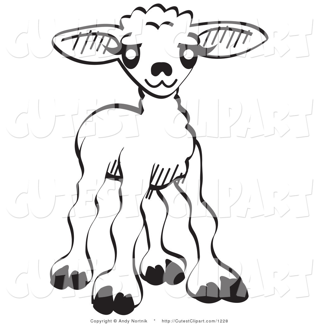 Lamb Clipart Vector Clip Art Of A Coloring Page Of A Little Baby Lamb    