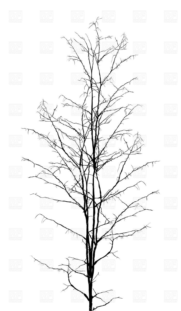 Leafless Dry Tree Silhouette 6722 Download Royalty Free Vector