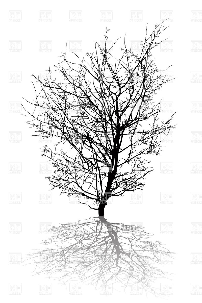 Leafless Tree Silhouette Tattoo Images   Pictures   Becuo