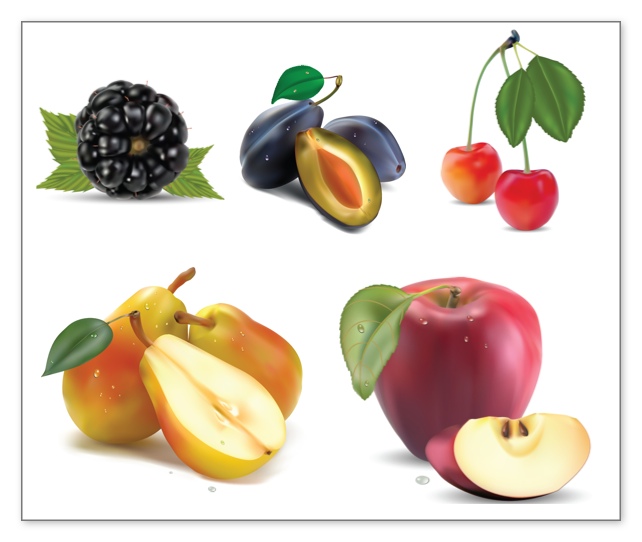 Fruits Vector Clipart Set Of 5 Beautiful Vector Fruits Clip Art This
