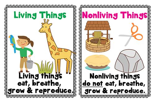 Looking For Resources For Living And Nonliving Things  This Blog Post
