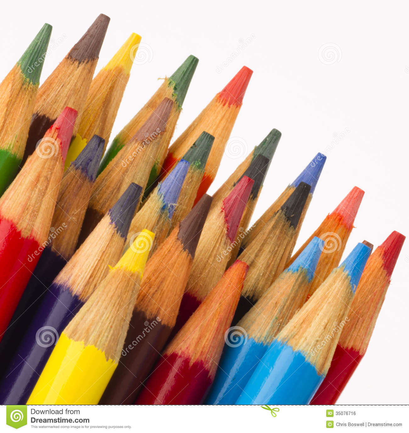 Macro Close Up Wood Multiple Color Art Supply Pencils Royalty Free