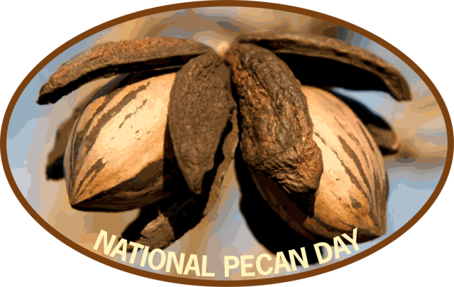 Pecan Day Is Celebrated Each Year On March 25 Some Celebrate This Day