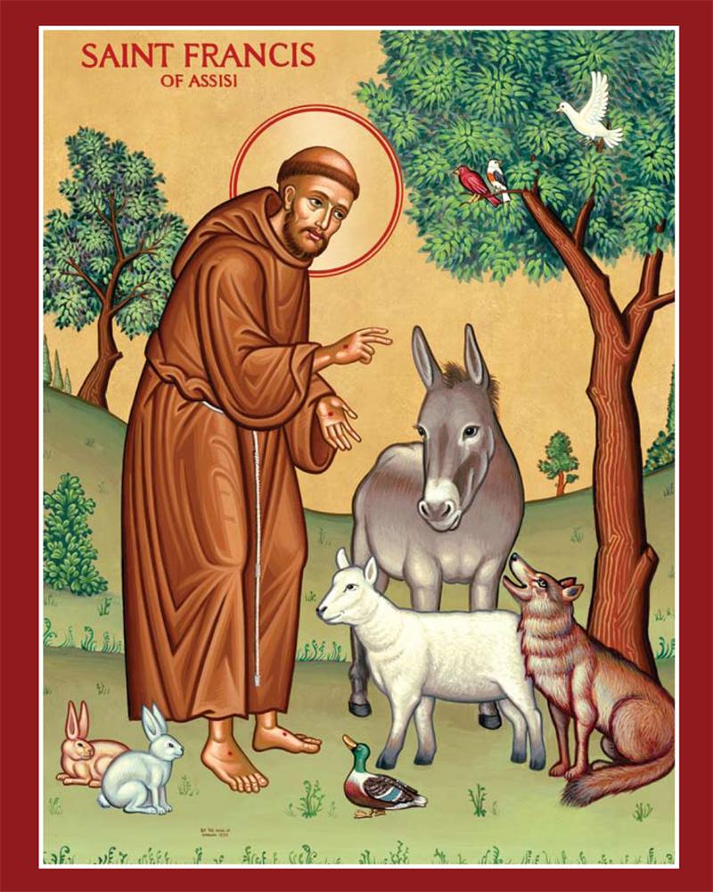 St Francis Assisi Prayer Card