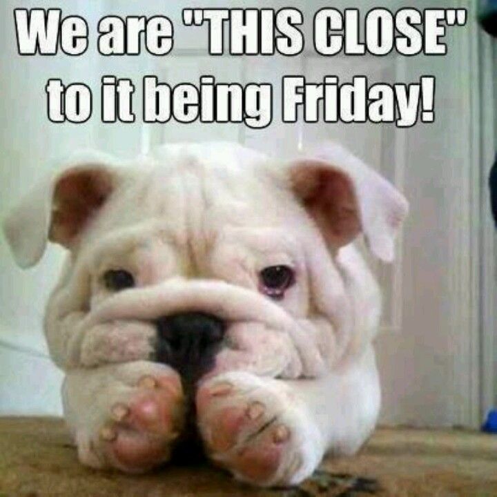 Thank God Its Almost Friday   Pins For Others   Pinterest