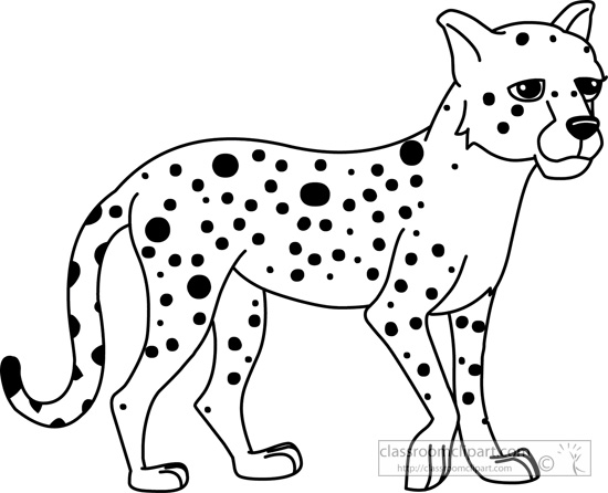 Animals   Cheetah Black White Outline 910   Classroom Clipart