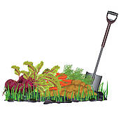 Autumn Harvest Vegetables On The Grass And Shovel   Clipart Graphic