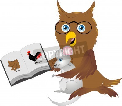Owl Bird Predator Carnivore Vector Illustration   Stockpodium