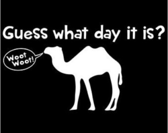 Hump Day Clip Art Guess What Day It Is