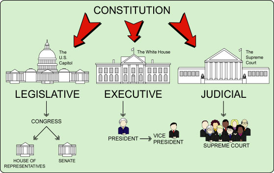 Diagram  Branches Of Government