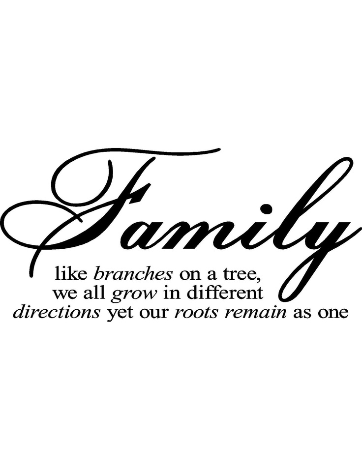 Quotes Family Quotes Life Family Trees Inspiration Roots So True