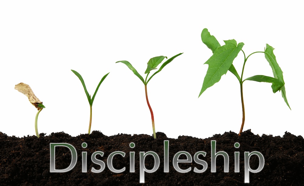 Discipleship In Light Of The Coming Kingdom Part 2   Daniel Training