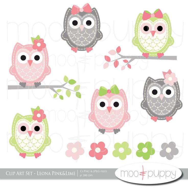 Owl Clip Art   Leona Pink Lime    Instant Download