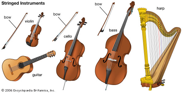 Stringed Instruments Include The Violin The Guitar The Cello The
