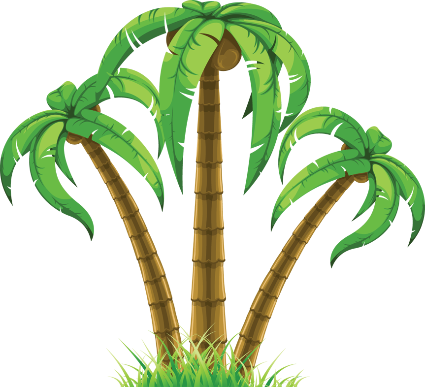 Cartoon Palm Tree Clip Art   Cliparts Co