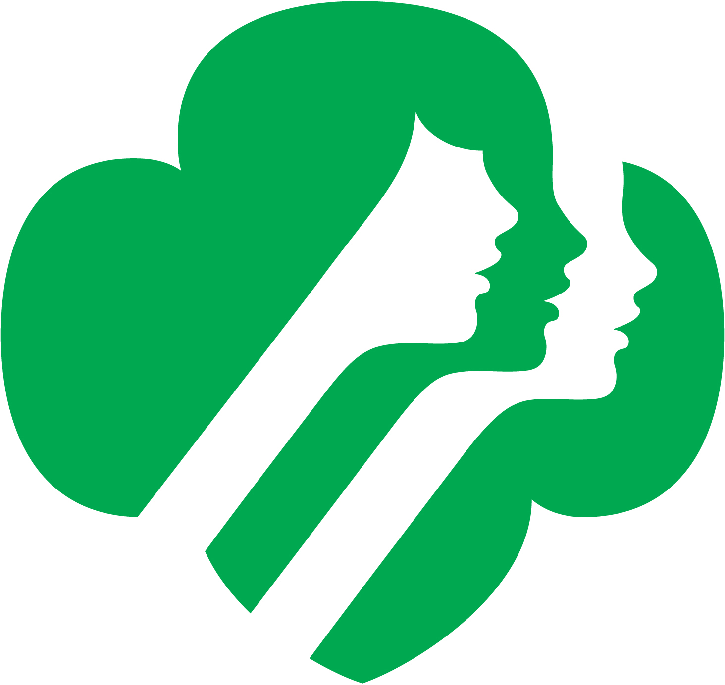 Girl Scouts Of Southwest Indiana Inc    Volunteer Essentials