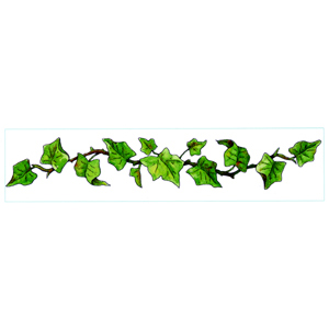 Ivy Leaves Border Images   Pictures   Becuo