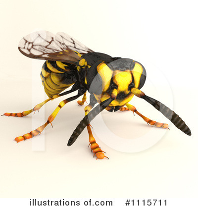 Wasp Clipart  1115711 By Leo Blanchette   Royalty Free  Rf  Stock